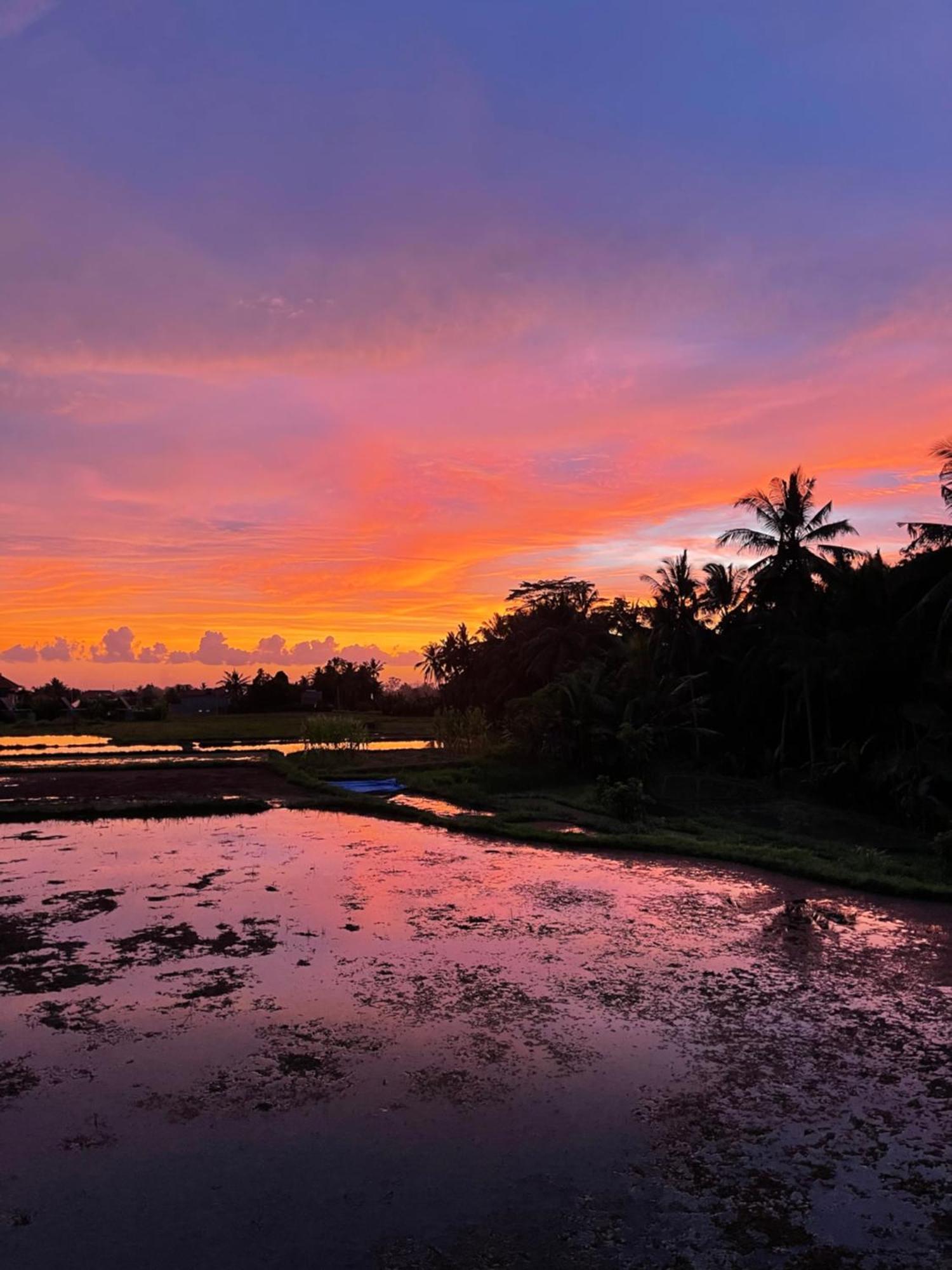 The Luxe Ubud Luaran gambar